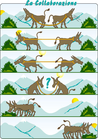 collaborazione_asini