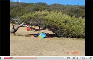 Video_Castiglioncello_1